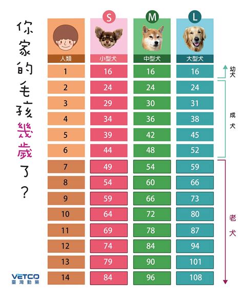 寵物年齡查詢|貓狗年齡對照表大公開！貓咪年齡、狗狗年齡等於人的。